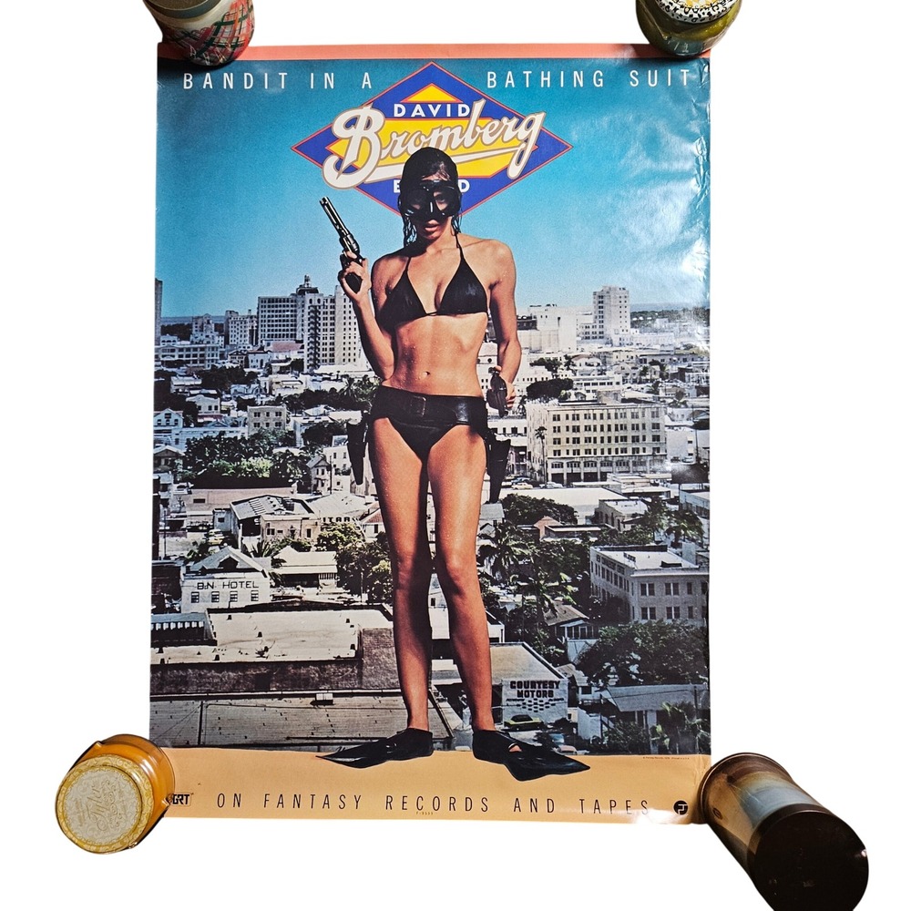 David Bromberg Band Bandit in a Bathing Suit VTG 1978‎ Album Promo Poster 23x32
